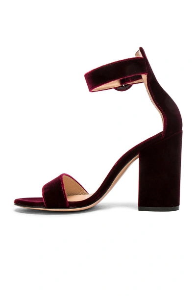 Shop Gianvito Rossi Velvet Versilia Block Heels In Red