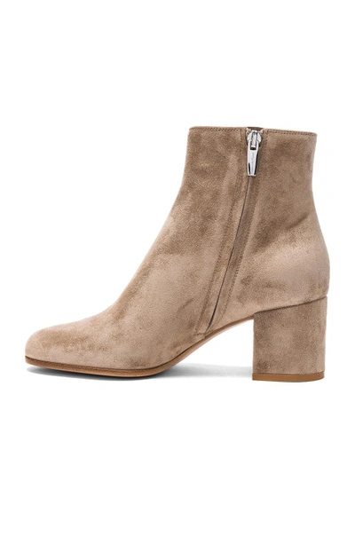 Shop Gianvito Rossi Suede Margaux Booties In Neutrals