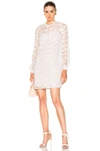 NEEDLE & THREAD NEEDLE & THREAD CROCHET LACE DRESS IN WHITE,DR0022PF17