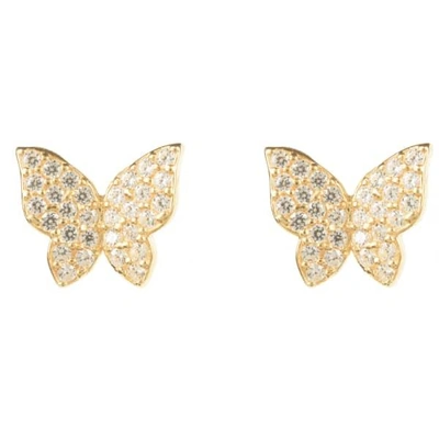 Shop Latelita London Butterfly Earring Gold