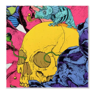 Shop Pig, Chicken & Cow Matching Cropped Eden Garden Pocket Square No.1 Big Skull