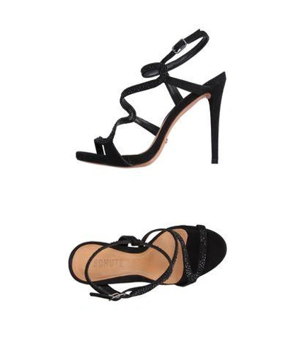 Shop Schutz Sandals In Black