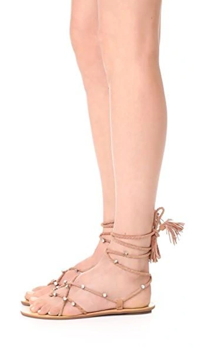 Shop Loeffler Randall Bo Wrap Sandals In Deep Blush