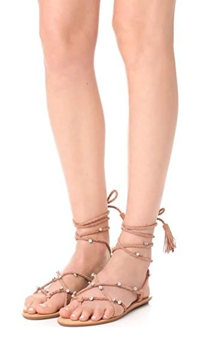 Shop Loeffler Randall Bo Wrap Sandals In Deep Blush