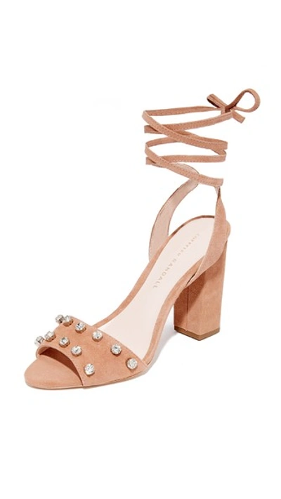 Loeffler Randall Elayna Embellished Lace Up High Heel Sandals In Deep Blush