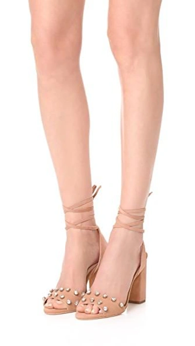 Shop Loeffler Randall Elayna Wrap Sandals In Deep Blush