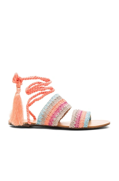 Shop Schutz Zendy Sandal In Multi