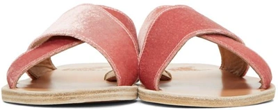 Shop Ancient Greek Sandals Pink Velvet Thais Sandals