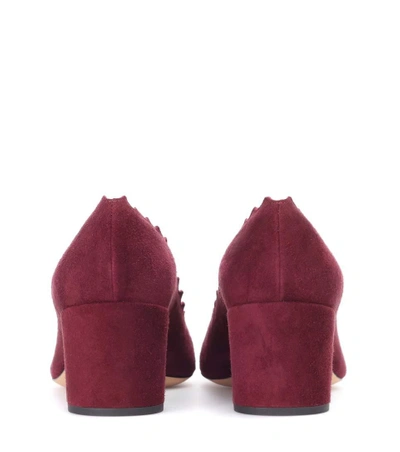 Shop Chloé Lauren Suede Pumps In Olscur Purple