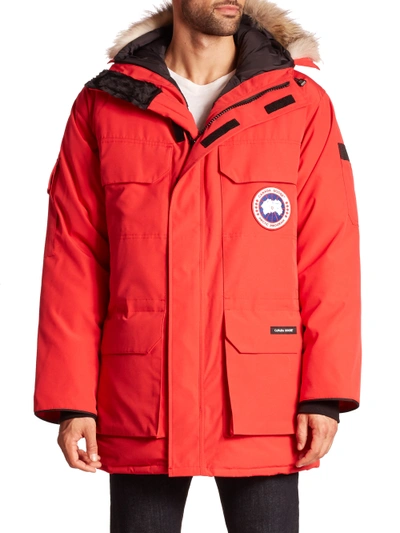 Canada Goose Expedition Coyote Fur-trimmed Jacket In Red