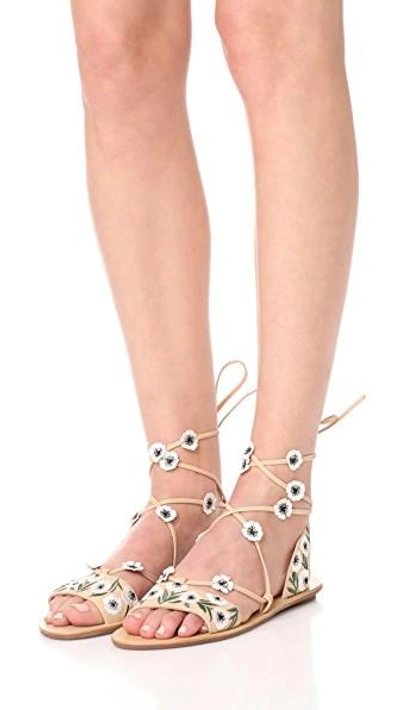 Shop Loeffler Randall Fluera Wrap Sandals In Wheat/anemone