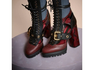 Shop Burberry Buckle Detail Leather And Snakeskin Cut-out Ankle Boots In Bordeaux