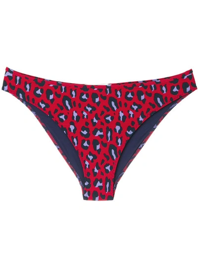 Stella Mccartney Woman Leopard-print Low-rise Bikini Briefs Red In Navy Salsa Red