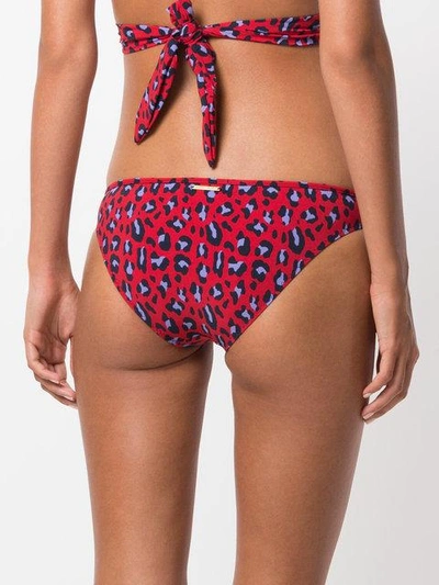 Shop Stella Mccartney Leopard Print Bikini Bottoms
