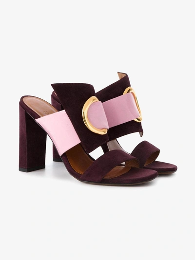 Shop Neous Burgundy Suede Ring 105 Mules In Pink/purple