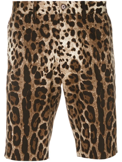 Dolce & Gabbana Cotton Drill Bermuda Shorts With Leopard Print