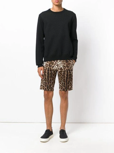 Shop Dolce & Gabbana Leopard Print Shorts