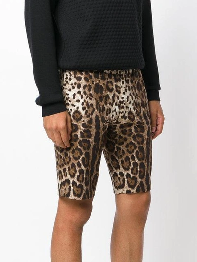 Shop Dolce & Gabbana Leopard Print Shorts