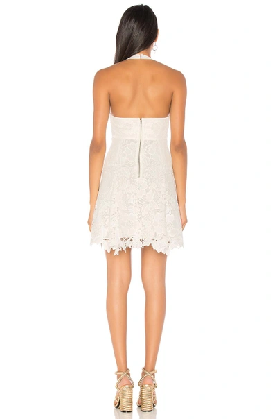 Shop Alice And Olivia Susan Dress In White