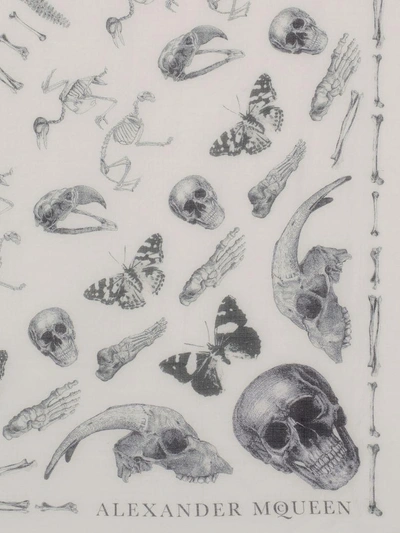 Shop Alexander Mcqueen Foulard Skulls And Bones