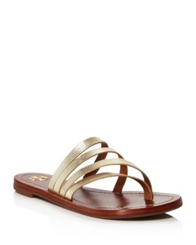 Tory Burch Patos Metallic Leather Thong Sandals In Spark Gold
