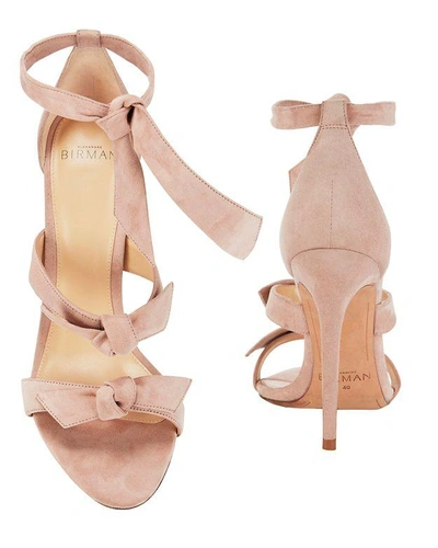 Shop Alexandre Birman Lolita Blush Suede Sandals