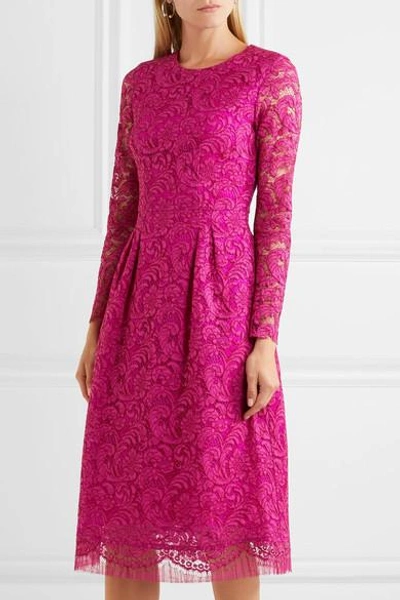 Shop Adam Lippes Corded Cotton-blend Lace Dress