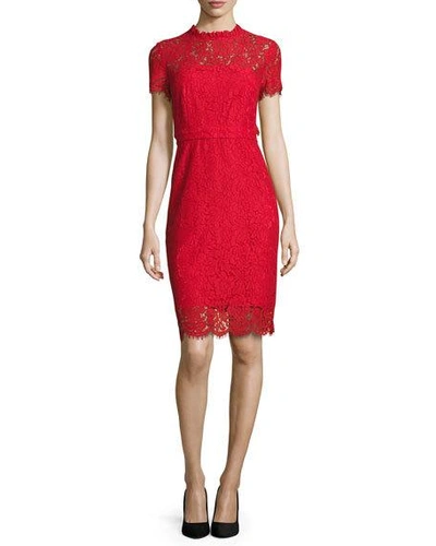 Diane Von Furstenberg Alma Lace Sheath Dress In Scaedal Red | ModeSens