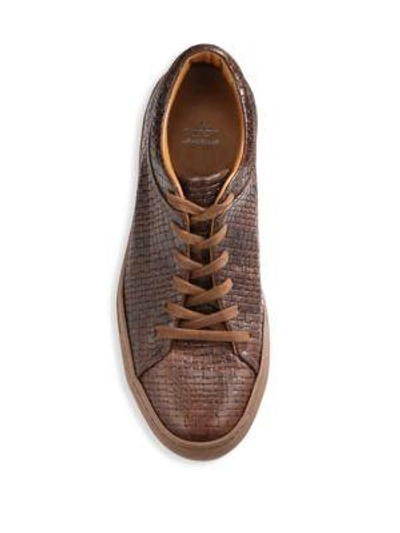 Shop Aquatalia Alaric Weatherproof Leather Sneakers In Brown