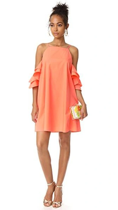 Shop Amanda Uprichard Catalina Dress In Coral