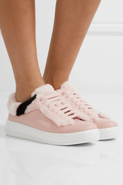 Shop Prada Shearling-trimmed Leather Sneakers In Blush