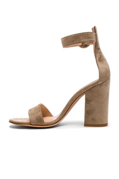 Shop Gianvito Rossi Suede Versilia Block Heels In Bisque