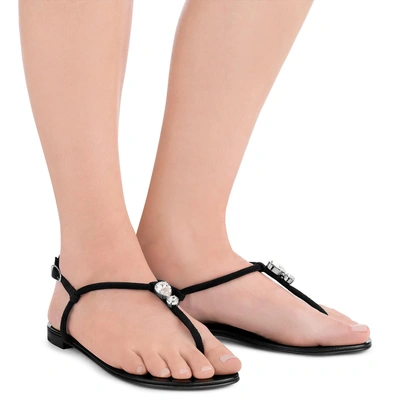Shop Giuseppe Zanotti - Black Suede Flat Sandal With Crystal Accessory Hollie