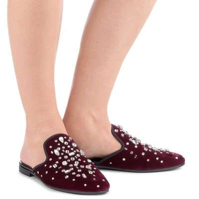 Shop Giuseppe Zanotti - Flat Burgundy Velvet Shoes With Crystals The Dazzling Elsa In Red