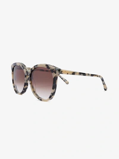 Shop Stella Mccartney Eyewear Brown And Beige Tortoiseshell Chain Trimmed Sunglasses