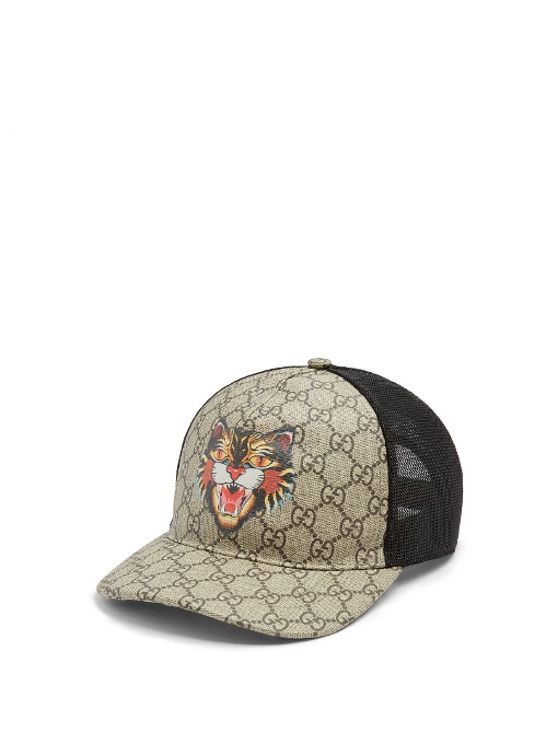 gucci hat angry cat