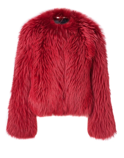 Philipp Plein Fur Jacket "by The True" In Red