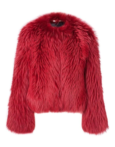 Shop Philipp Plein Fur Jacket "anson"