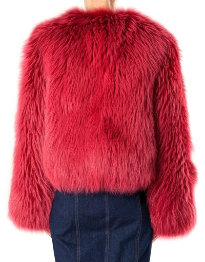 Shop Philipp Plein Fur Jacket "anson"