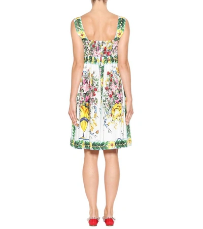 Shop Dolce & Gabbana Printed Cotton Dress In Vaso Fiori