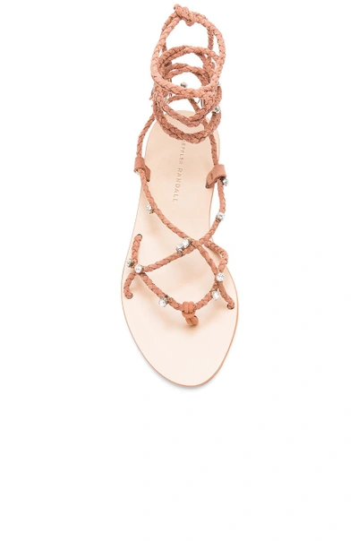 Shop Loeffler Randall Bo Sandal In Deep Blush