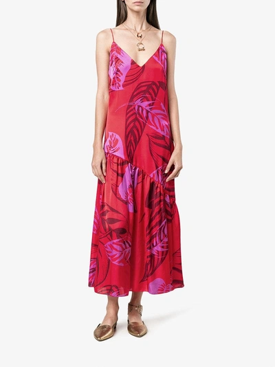 Shop Borgo De Nor Joana Sleeveless Palm Print Dress In Red