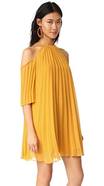Shop Bb Dakota Gretel Pleated Dress In Royalty Yellow