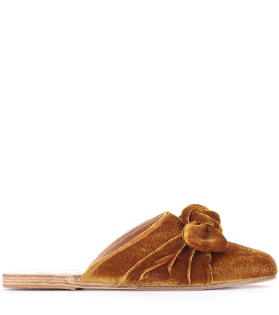 Shop Ancient Greek Sandals Pasoumi Bow Velvet Slippers In Brown