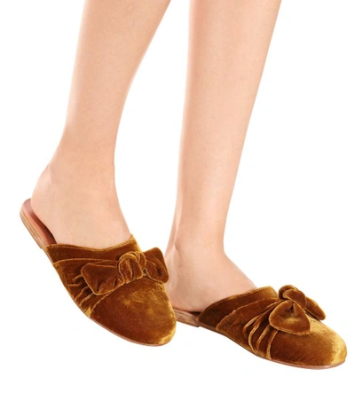 Shop Ancient Greek Sandals Pasoumi Bow Velvet Slippers In Brown