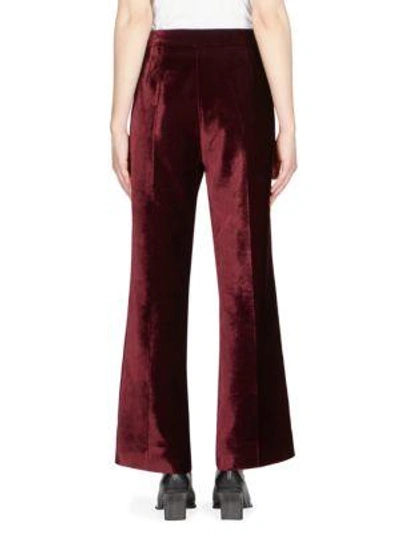 Shop Stella Mccartney Cropped Velvet Trouser In Burgundy