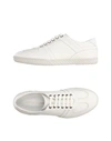 Sergio Rossi Sneakers In White