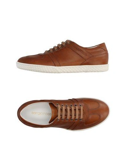 Sergio Rossi Sneakers In Brown