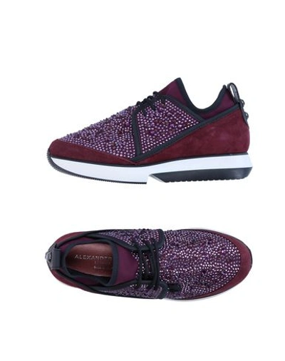 Alexander Smith Trainers In Maroon