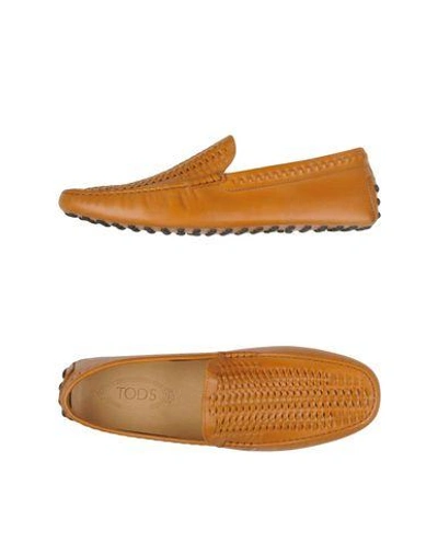 Tod's Loafers In Camel